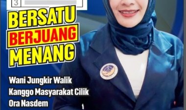 Pipit Nur Fitriyah Siap Mengabdi Untuk Masyarakat Dapil 2 Rawa Jitu Utara Mesuji