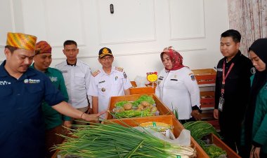 Pertama Di Sultra, Bupati Kolaka Timur Lounching Minimarket Kosara Fresh