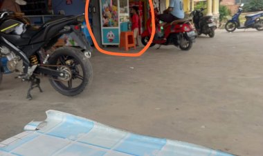 Judi Boneka Capit Meresahkan Masyarakat Tanjung Jabung Barat