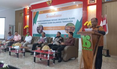 BSIP Sultra Gelar Sosialisasi Business Plan Untuk Korporasi Petani di Kolaka Timur
