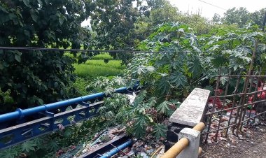 SABILILLAH : PEMKAB BOGOR PERLU TINGKATKAN ANGGARAN BIAYA PROSES TIPIRING