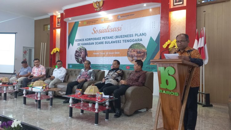BSIP Sultra Gelar Sosialisasi Business Plan Untuk Korporasi Petani di Kolaka Timur