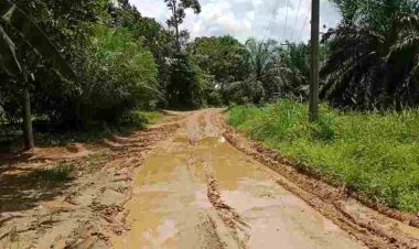 PUPR Tanjung Jabung Barat Akan Check Jalan Lintasan Masyarakat Desa Lubuk Bernai - Lubuk Lawas, Begini Kata PJS Kades