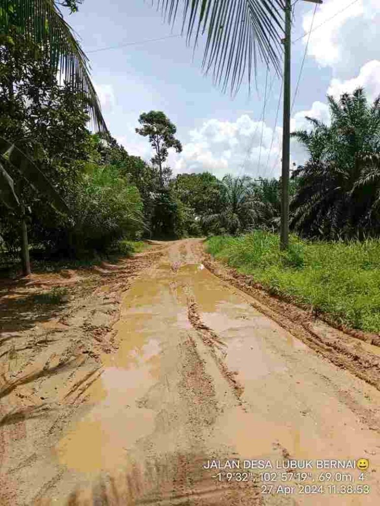 PUPR Tanjung Jabung Barat Akan Check Jalan Lintasan Masyarakat Desa Lubuk Bernai - Lubuk Lawas, Begini Kata PJS Kades