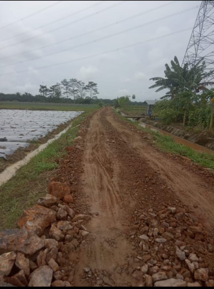 Pengerasan Jalan Sawah Dengan Dana Rp 367 Juta Lebih Di Desa Rawa Medang Asal Jadi, Camat Batang Asam Selaku Pembina Jangan Tidur.