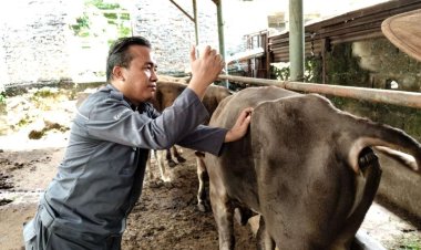 Jelang Iduladha, Pemdakab Bogor Masif Lakukan Inspeksi Kesehatan Hewan Qurban Sehat