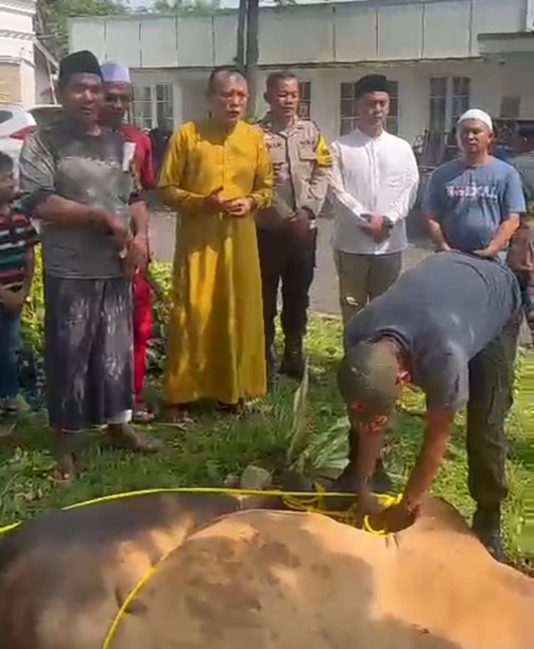 Pemerintah Desa sumur Batu mengucapkan terima kasih kepada H.Prabowo Subianto yang Telah  memberikan Berikan Dua Ekor Sapi 