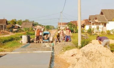 Desa sidang iso mukti realisasikan pembangunan rabat beton megunakan dana desa dd tahun 2024