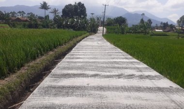 Desa Samarang  Membangun Jalan Usaha Tani Dengan Rambat Beton Di Kampung Bongkor