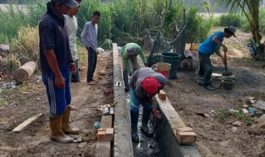 Pemerintah Desa Negri Sakti Kecamatan Cempaka Kabupaten Oku Timur Bangun Jalan Usaha Tani Tahap Akhir