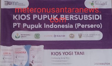 Kios Pupuk Diduga Bermain, Pupuk di kotaway way kanan dijual keluar daerah bikin Petani mengeluh