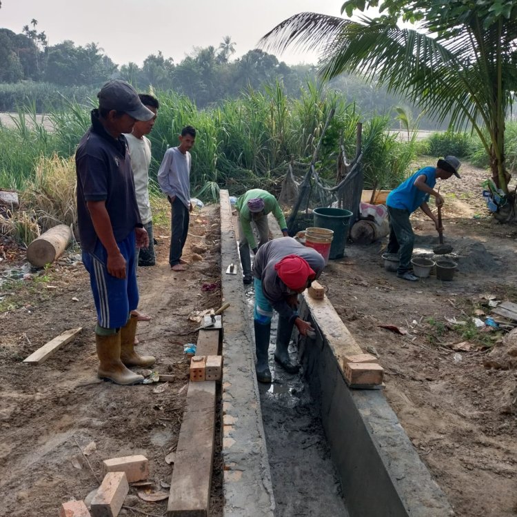 Pemerintah Desa Negri Sakti Kecamatan Cempaka Kabupaten Oku Timur Bangun Jalan Usaha Tani Tahap Akhir