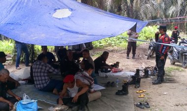 Pemda Tanjung Jabung Barat Lalai, Tapal Batas Desa Badang Bergeser Jauh, Poktan Tetap Menunggu Kepastian Batas