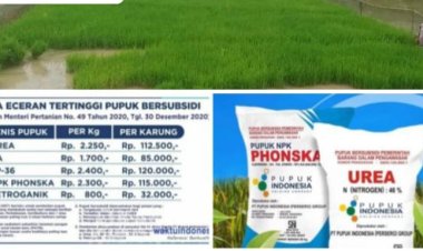 Diduga Kios Pengecer Pupuk Subsidi Didesa Karya Bakti Kecamatan Semendawai Timur Jual Pupuk subsidi Diatas Harga Eceran Tertinggi HET