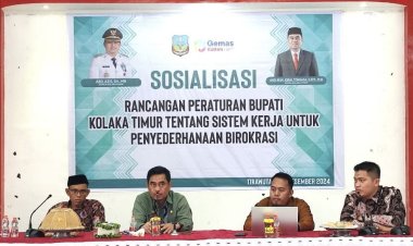 Gelar Sosialisasi Rancangan Perbup Tentang Sistem Kerja Birokrasi, Sekda Koltim Tegaskan Hal Ini