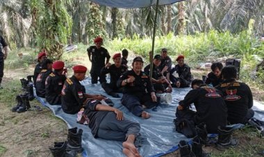 Tuntut 3 Poin, Kelompok Tani Imam Hasan Badang Beri Waktu 10 Hari Untuk Jawaban Dari PT. DAS