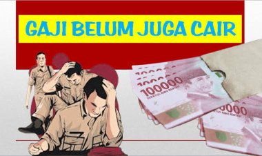 Gaji Tak Kunjung Cair Geuchik dan Perangkat Desa se-Kota Langsa Menjerit!