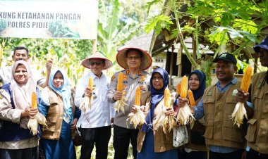 Kapolres Pidie Panen Jagung di Kembang Tanjung