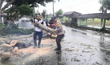 Respon Cepat, Kapolsek Polsek Pantee Bidari Bersama Anggota dan Warga Bersihkan Pohon Tumbang
