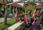 Kemenag Kota Langsa Sembelih 4 Ekor Sapi Qurban pada Idul Adha