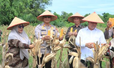 Polres Aceh Utara Ikut Panen Raya Jagung Kuartal II Tahun 2025