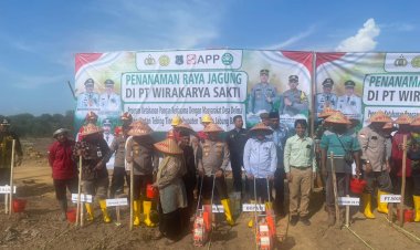 Bupati & Kapolres Kompak Tanam Jagung di Tanjab Barat, Dukung Program Makan Bergizi Gratis