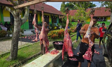 Kemenag Kota Langsa Sembelih 4 Ekor Sapi Qurban pada Idul Adha