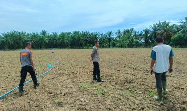 Kapolsek Syamtalira Bayu Turun ke Ladang, Dukung Ketahanan Pangan Demi Kesejahteraan Warga