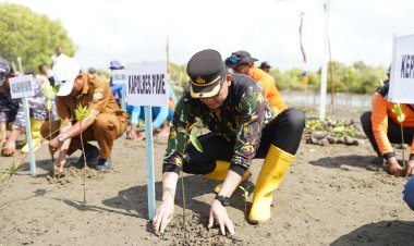 Peduli Lingkungan, HUT Bhayangkara Ke 79 Polres Pidie Tanam 1000 Magrove