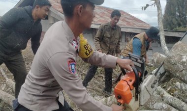 Personel Polsek Bebesen Hadir dan Sigap Bantu Bersihkan Material Pohon Tumbang Akibat Angin Kencang