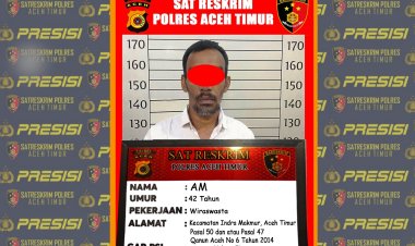 Cabuli Anak Tiri, Pria di Indra Makmur Diamankan ke Polres Aceh Timur