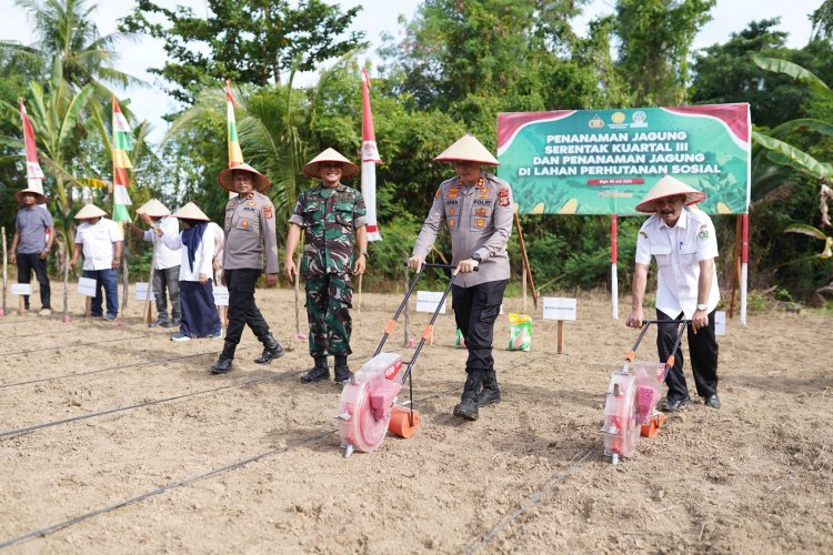 Kapolres Pidie bersama Bupati Pidie Tanam Jagung Serentak di Gampong Tanjong Krueng Sigli