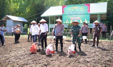Dorong Ketahanan Pangan, Kapolres Pidie Tanam Jagung Serentak di Lahan Pesantren