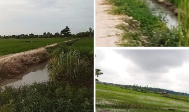 Diduga Dana Bantuan Optimalisasi Lahan (Oplah) Di 5 Kecamatan Kabupaten OKU Timur Tidak Tepat Sasaran.