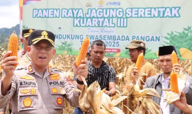 Panen Raya Jagung Kuartal III, Kapolres Aceh Tengah dan Forkopimda Kompak Dukung Swasembada Pangan Nasional