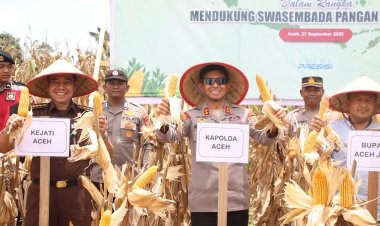 Kapolda Panen 24,5 Ton Jagung pada Kuartal III di Aceh Jaya