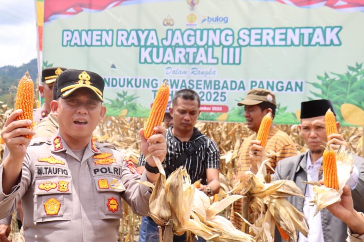 Panen Raya Jagung Kuartal III, Kapolres Aceh Tengah dan Forkopimda Kompak Dukung Swasembada Pangan Nasional