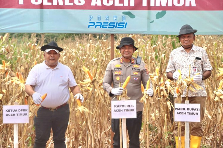 Polres Aceh Timur Gelar Panen Raya Jagung Kuartal III