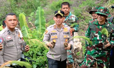 Dukung Program Green Policing, Kapolres Aceh Tengah Bersama Dandim Tanam 1.500 Bibit Pinus di Desa Nosar
