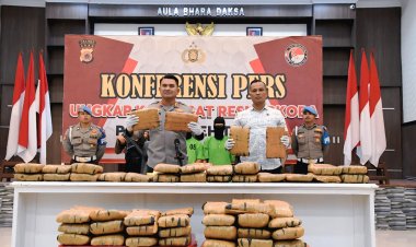 Polres Aceh Timur Gagalkan Penyeludupan 67 Kg Ganja, 2 Pelaku Diamankan