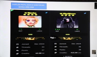 Pemerhati Digital Nilai Tepat Polisi Tangkap Hacker @bjorkanesiaaa, Ini Penjelasannya