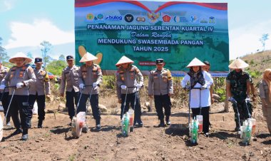 Kuartal IV, Polda Aceh Tanam Jagung di Lahan Seluas 347,87 Hektar