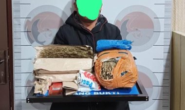 Sat Resnarkoba Polres Bener Meriah Tangkap Pengedar Ganja di Desa Alur Gading, Amankan 3 Kg Barang Bukti