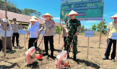 Kapolres Pidie Tanam Jagung Serentak Kuartal IV Tahun 2025 di Kecamatan Grong-Grong
