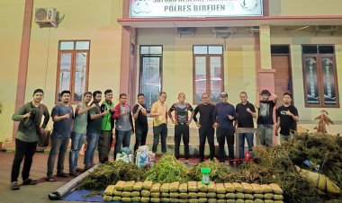 Polres Bireuen Berhasil Ungkap Kasus Narkotika, Satu Pelaku dan 154 Kg Ganja Diamankan