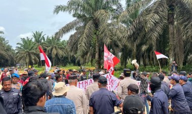 Aksi Petani bersama GMNI di PT Trimitra Lestari Simbol Kekecewaan Mendalam Terhadap Pemerintah