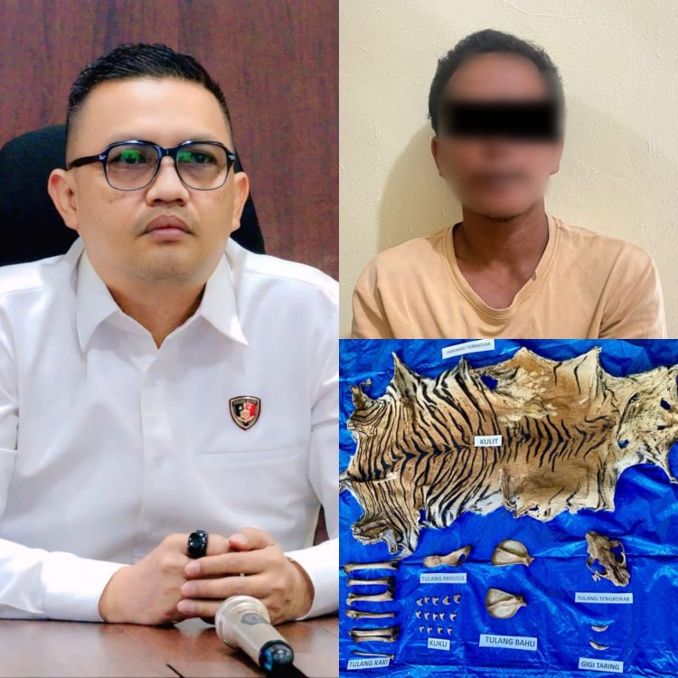 Polisi Tangkap Pelaku Perdagangan Satwa Dilindungi di Nagan Raya