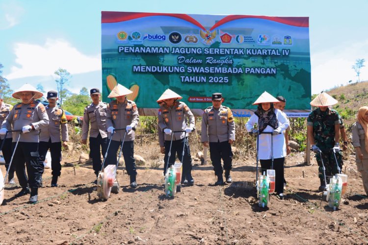 Kuartal IV, Polda Aceh Tanam Jagung di Lahan Seluas 347,87 Hektar