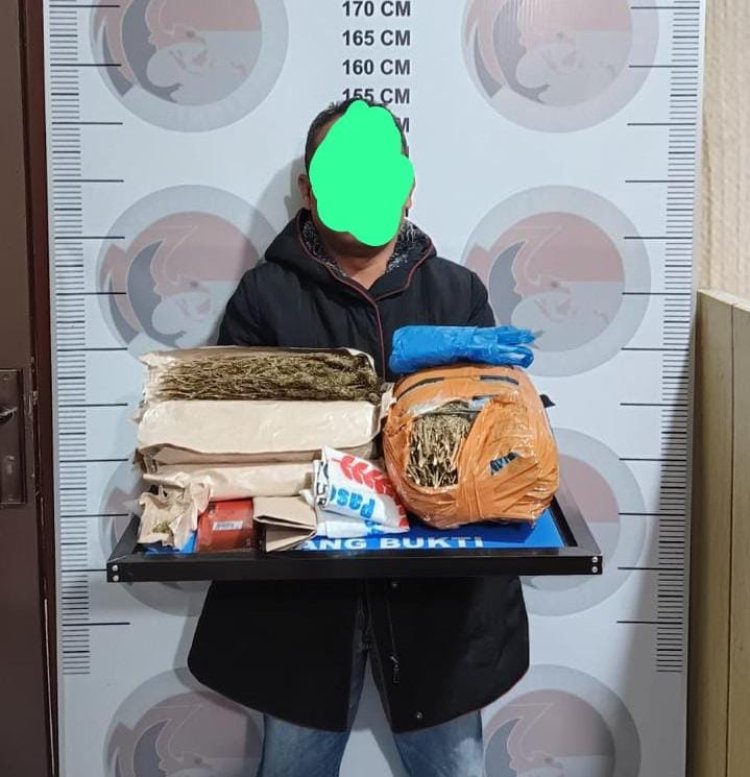 Sat Resnarkoba Polres Bener Meriah Tangkap Pengedar Ganja di Desa Alur Gading, Amankan 3 Kg Barang Bukti