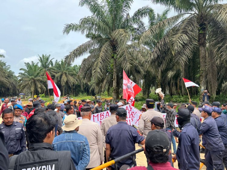 Aksi Petani bersama GMNI di PT Trimitra Lestari Simbol Kekecewaan Mendalam Terhadap Pemerintah